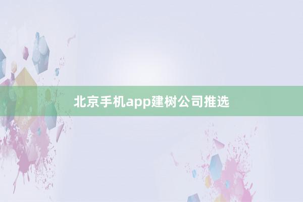 北京手机app建树公司推选