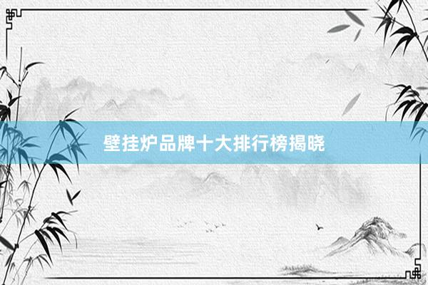 壁挂炉品牌十大排行榜揭晓