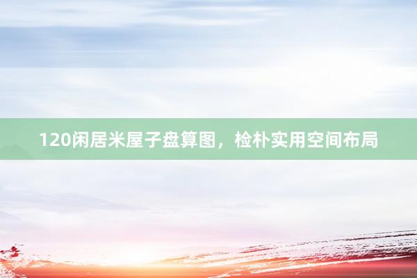 120闲居米屋子盘算图，检朴实用空间布局