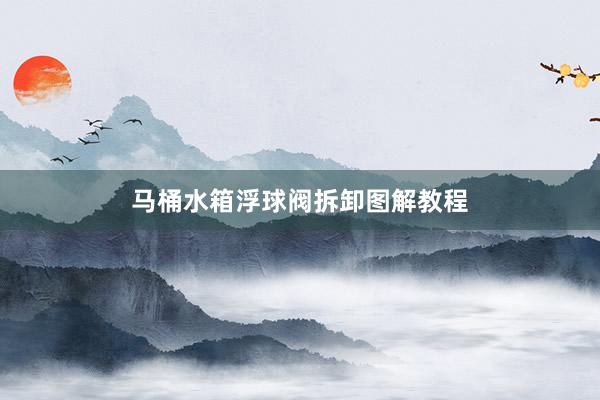 马桶水箱浮球阀拆卸图解教程