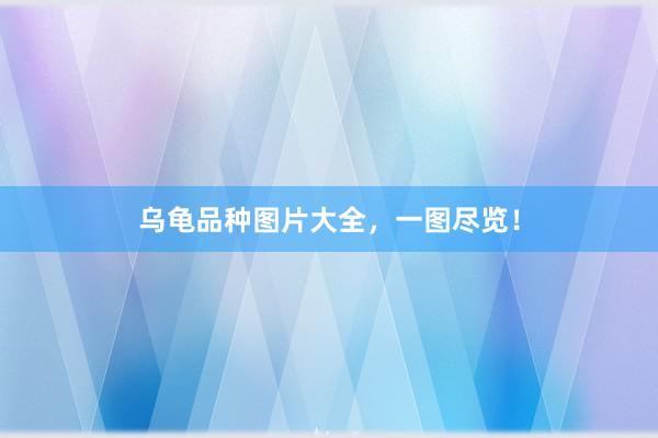 乌龟品种图片大全，一图尽览！